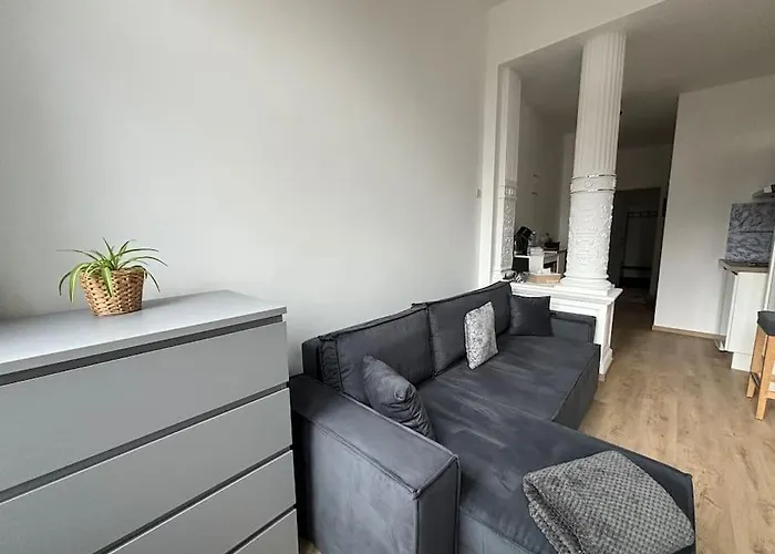 Studio Cosy Апартаменты *
